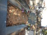 image of grave number 835334
